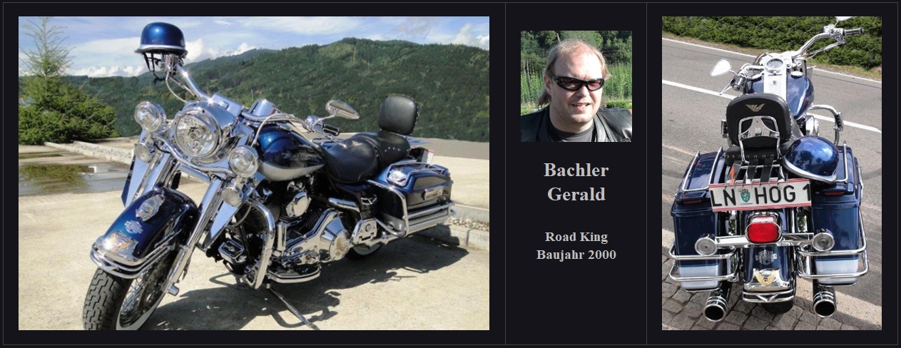 bachler_gerald_harley_01