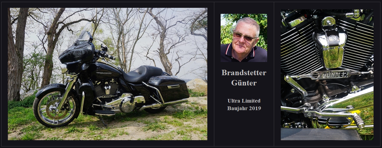brandstetter_günter_Ultra Limited 2019