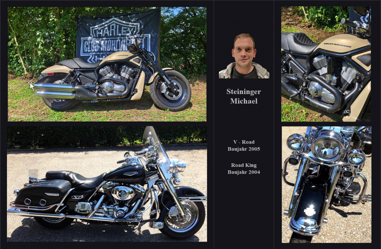 Steininger Michael Harley1